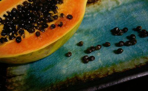 cut papaya on table Logo